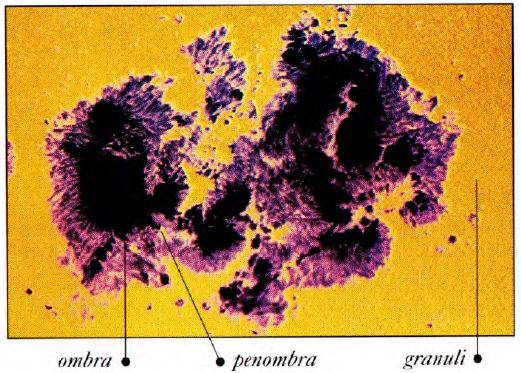 Struttura solare